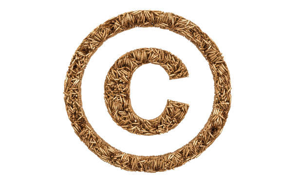 越南服装商标注册证图片张啥样