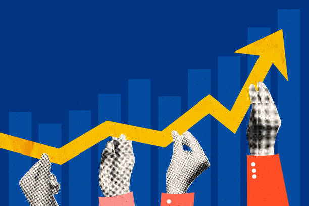 越南公司业务办理全攻略：从注册到运营的详尽指南 